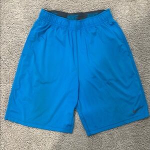 Nike Men's Blue Athletic Shorts